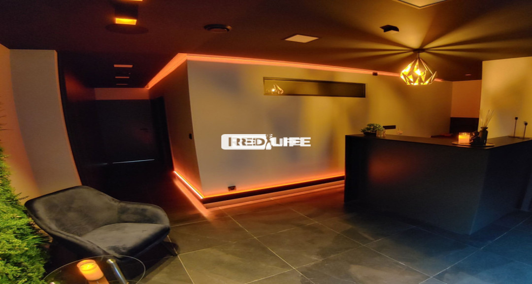 Hled&aacute;me spolehliv&eacute; a &scaron;ikovn&eacute; slečny
