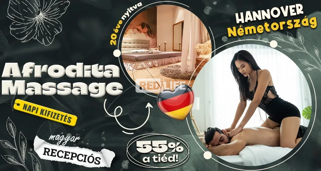 Nyelvtudás nem feltétel!