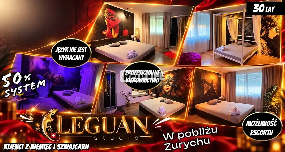 [LEGUAN] Praca dla dorosłych w