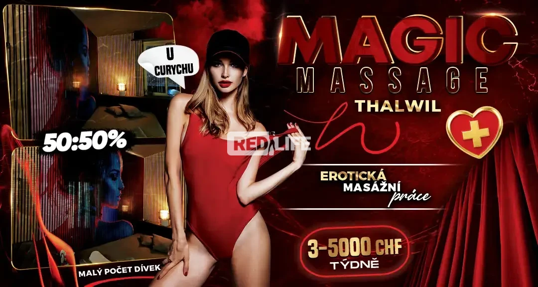 Malý tým garantovaný švýcarským majitelem!