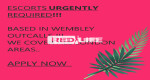 Escorts and drivers wanted urgently